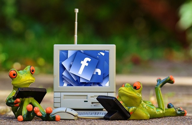 Facebook Canvas App Was Das Neue Werbeformat Kann Und Was Es Nicht 